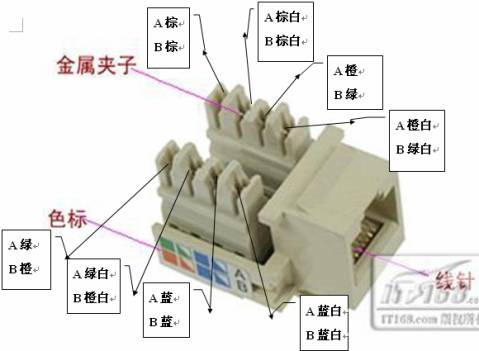 菜鸟之家_电脑爱好者